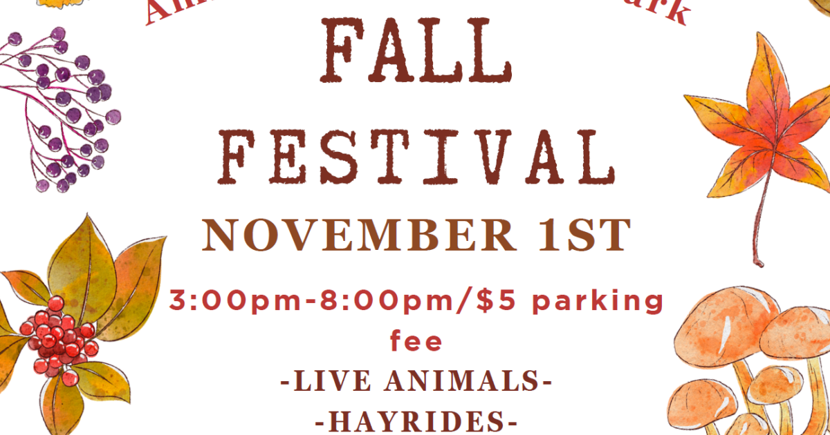 Amicalola Falls State Park Fall Festival Destination Dawsonville