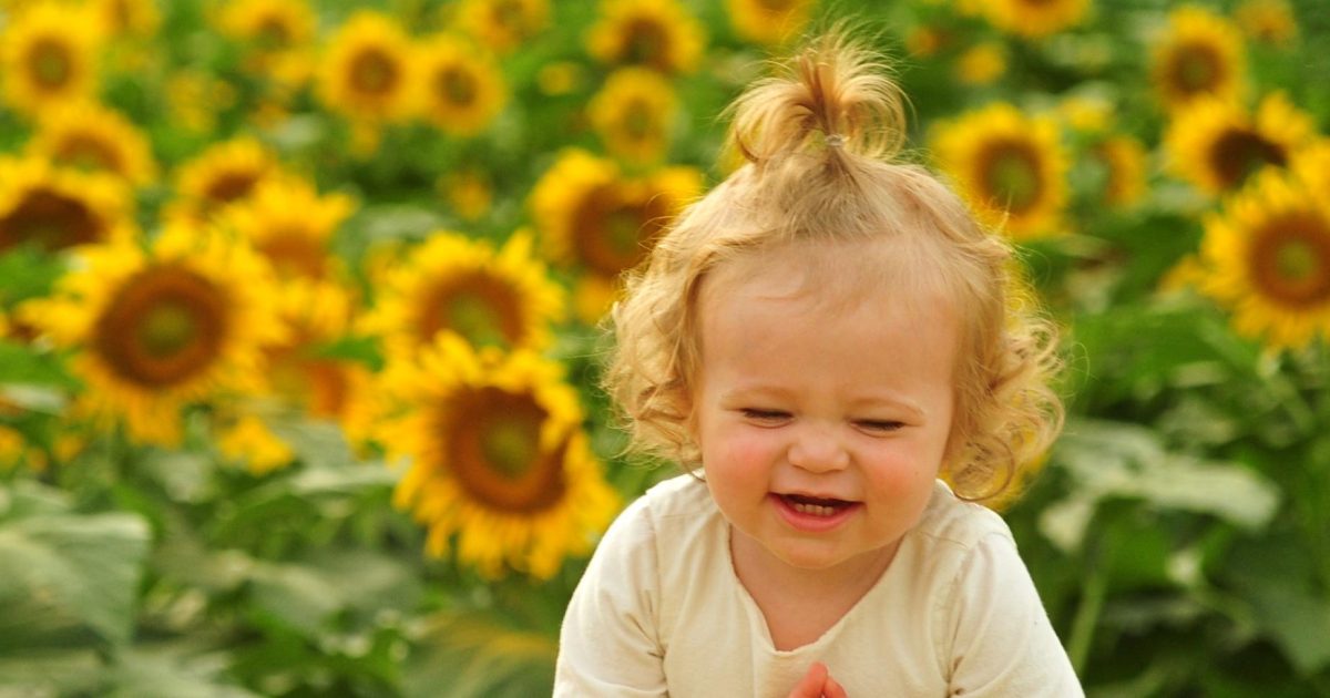 Fausett Farms Sunflowers is OPEN! Destination Dawsonville
