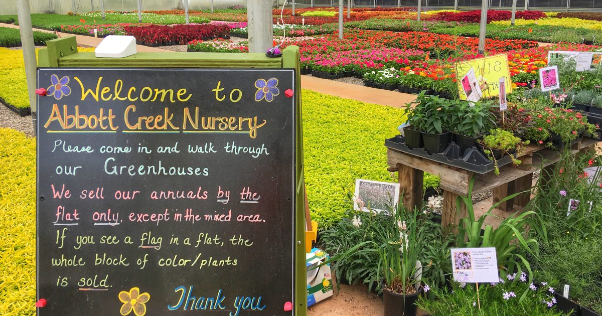 Abbott Creek Nursery, Inc. Destination Dawsonville